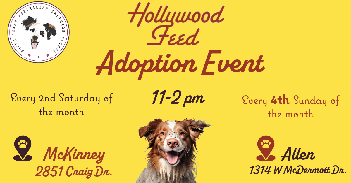 Hollywood Feed Adoption Events 