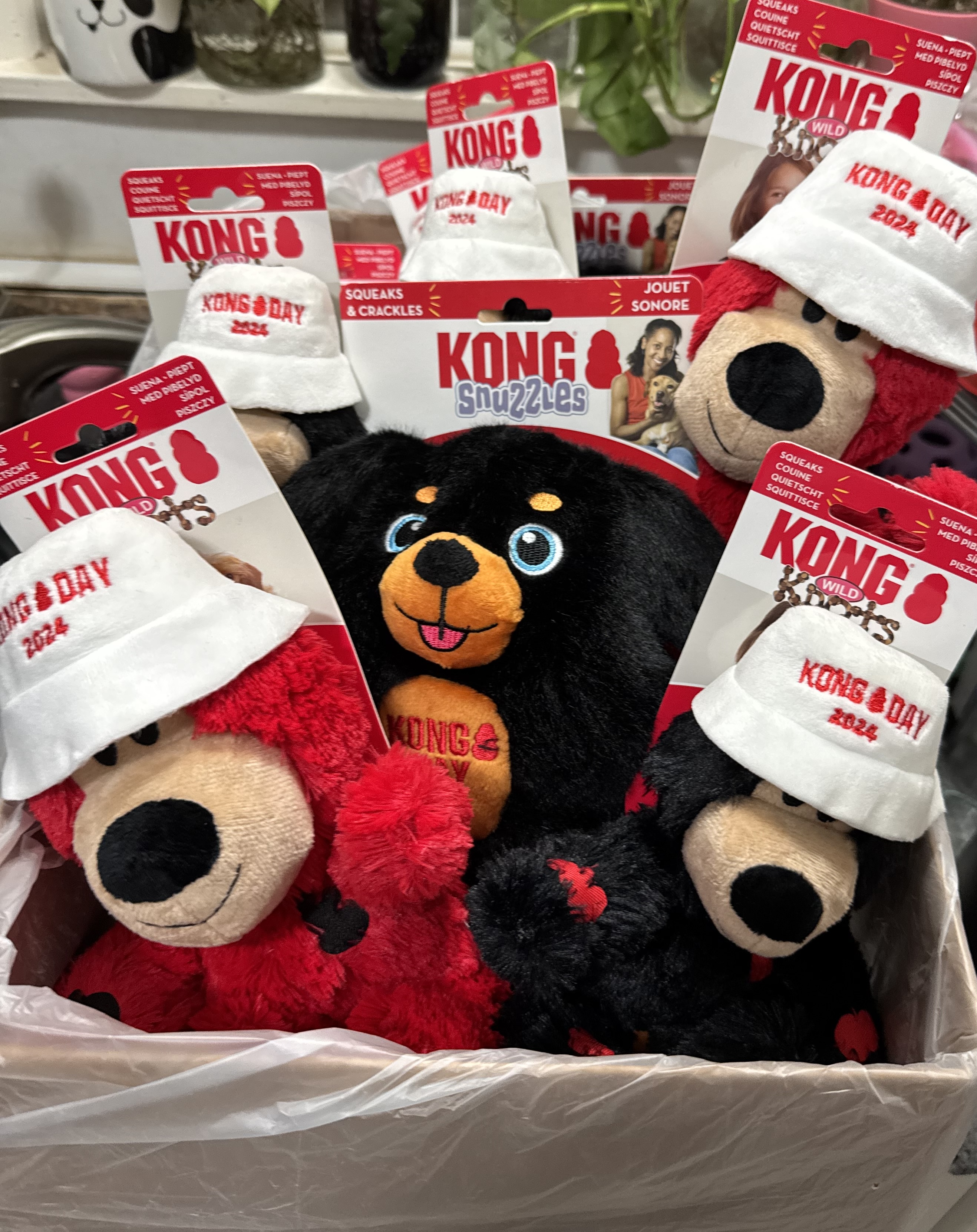 Kong Day Plushies