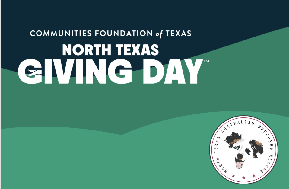 NTX Giving Day 2026
