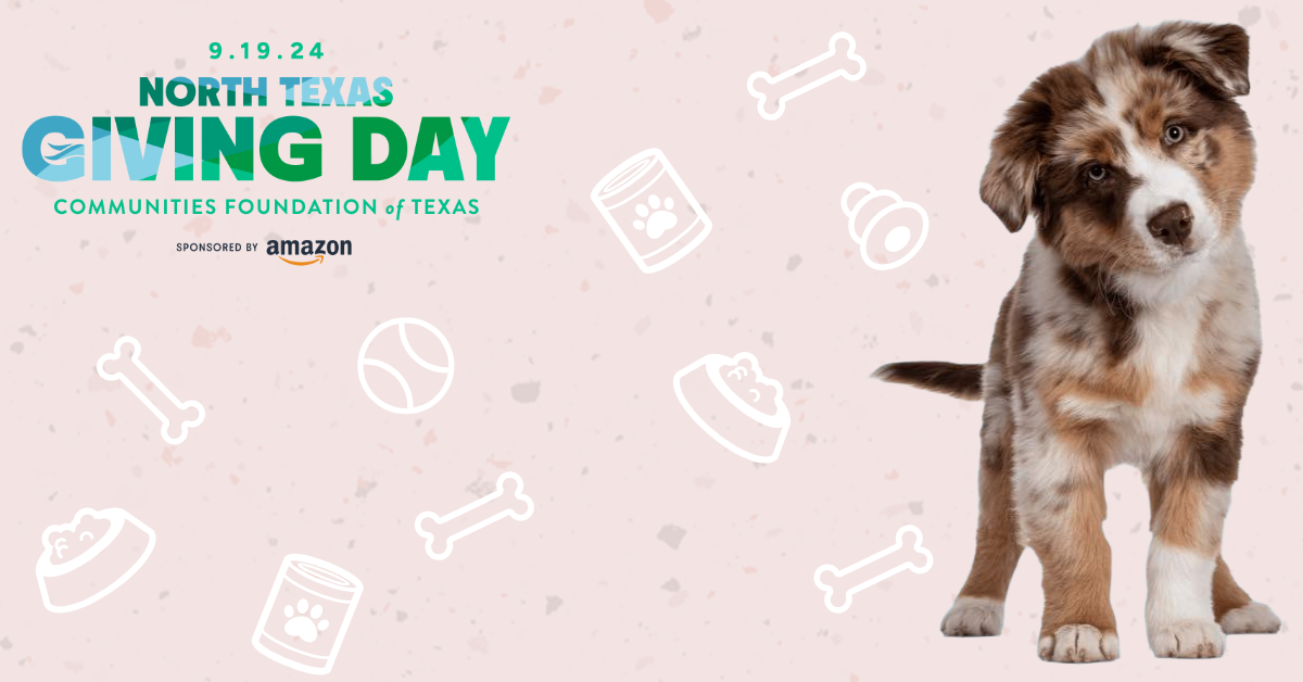 North Texas Giving Day