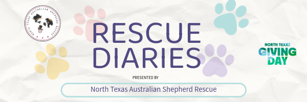 Rescue Diaries